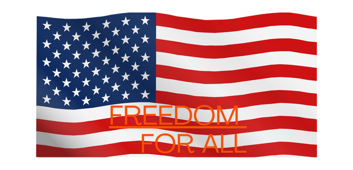 #1-MUG AMERICA FLAG FREEDOM FOR ALL