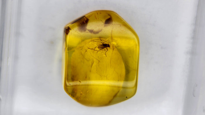 Baltic Amber 75