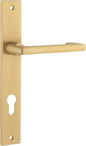 Brushed Brass / Entry Set E85 Only