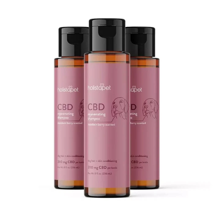 HolistaPet CBD dog shampoo bottle with label, showing a natural dog and clean, foaming shampoo on a white background.
