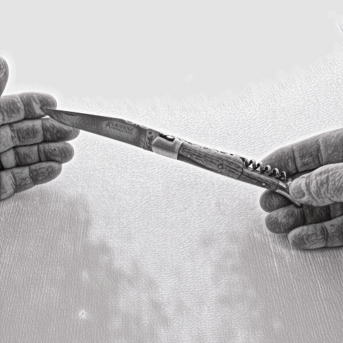 Classic Laguiole Corkscrew Knife Amourette Handle, close-up of the open blade and handle. Handcrafted details, 100% Made in France.