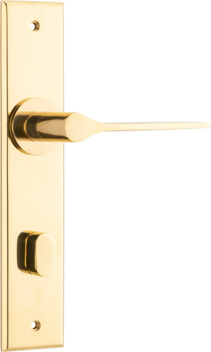Polished Brass / Privacy Lever Only