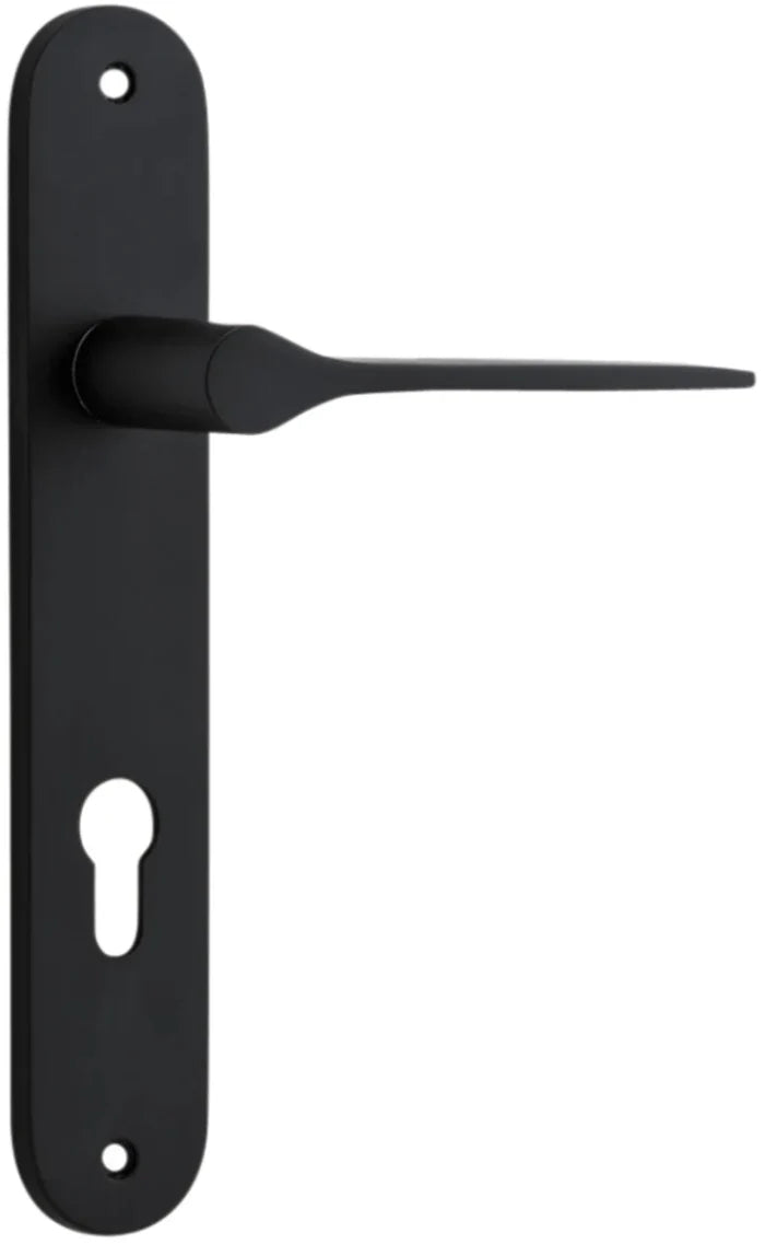 Matt Black / Entrance Lever Only E85