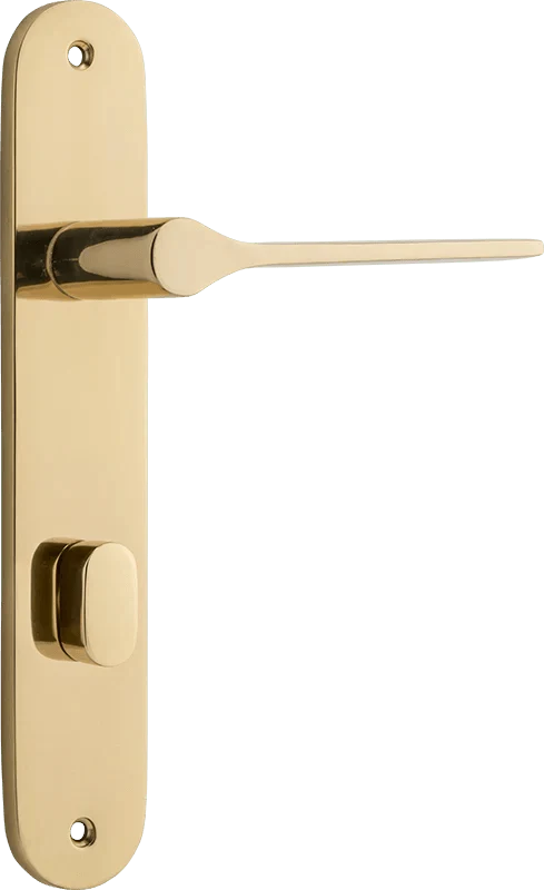 Polished Brass / Privacy Lever Only