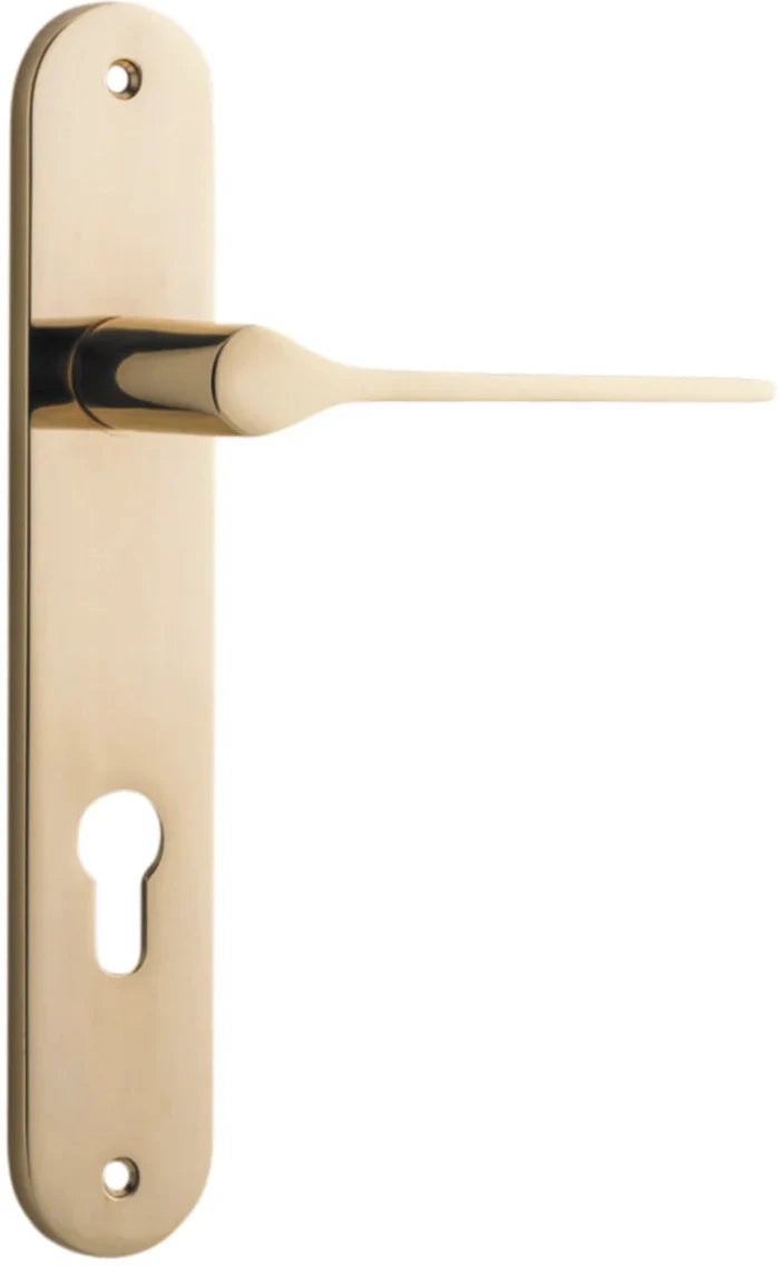 Polished Brass / Entrance Lever Only E85