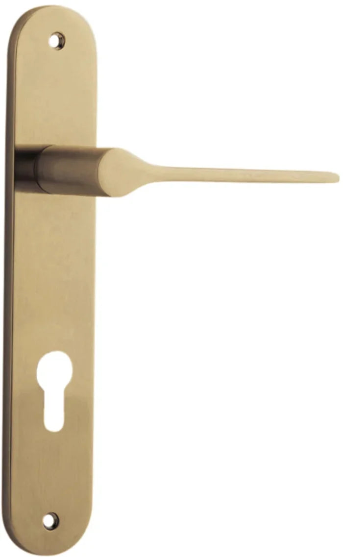 Brushed Brass / Entrance Lever Only E85