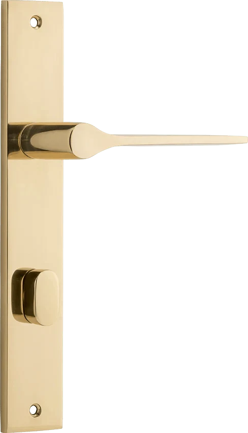 Polished Brass / Privacy Lever Only