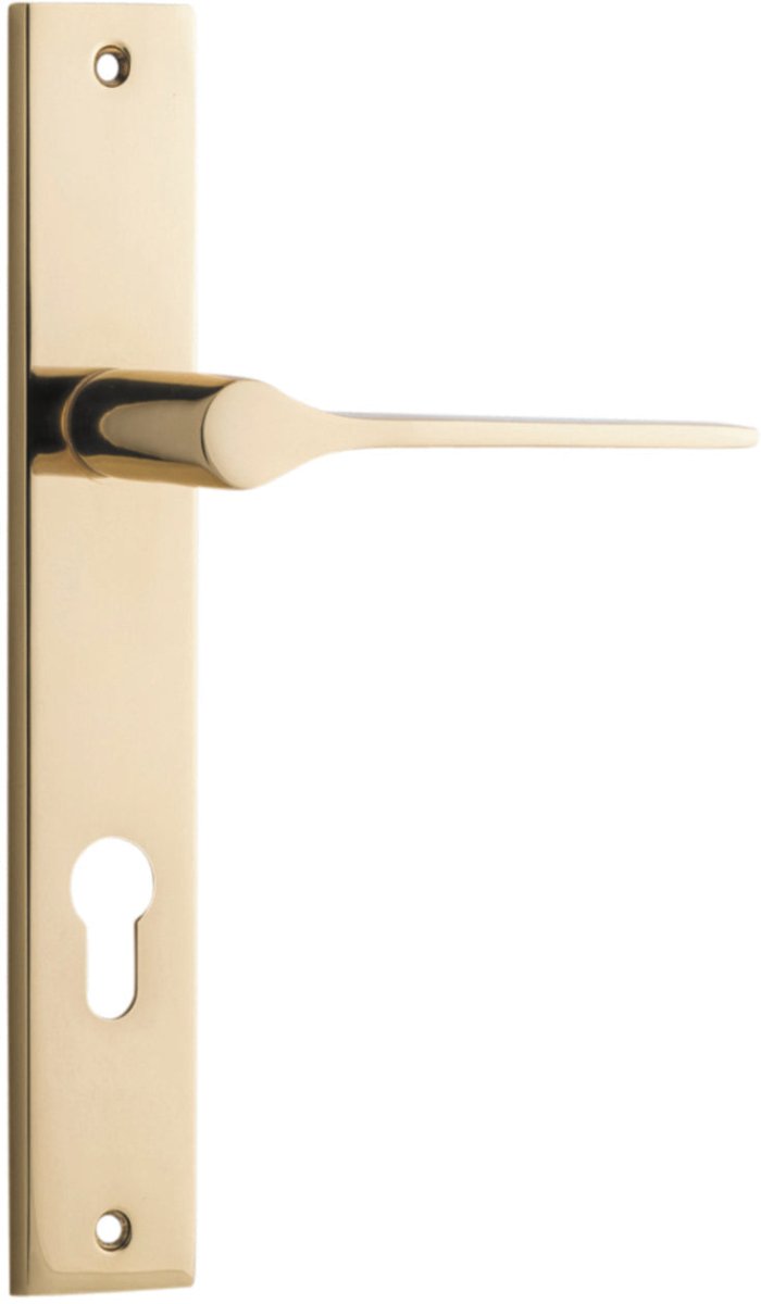 Polished Brass / Entrance Leverset Only E85