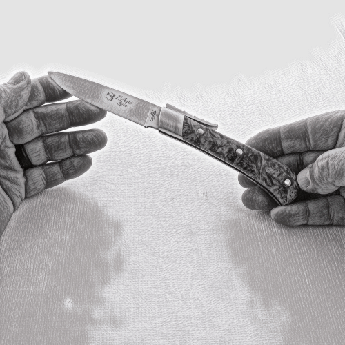 Corsican L' Antò Pocket Knife Burled Beech End Grain. Close-up, hands presenting the open knife. Handcrafted details, 100% Made in France.