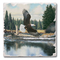 Eagle Spirit Coaster