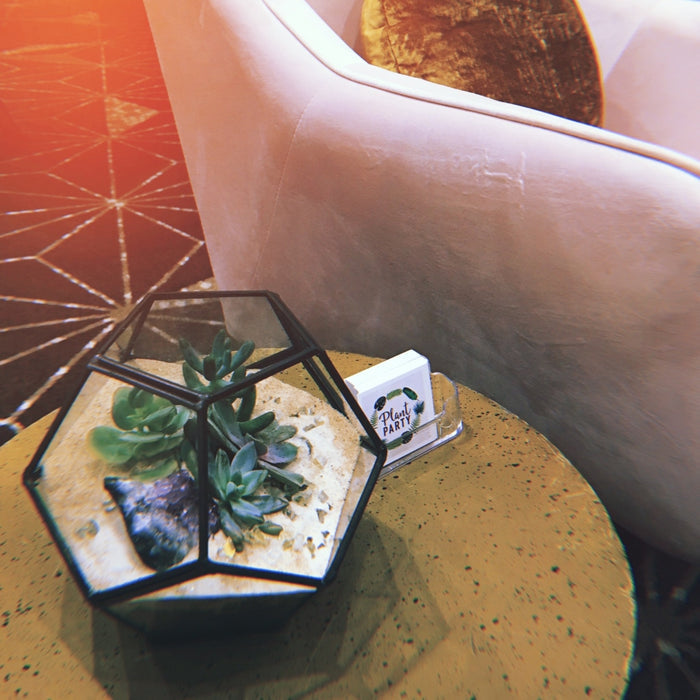 Ebony Geo Houseplant