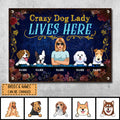 Funny Warning Signs, Gifts For Dog Lovers, Crazy Dog Lady Lives Here, Welcome Metal Signs, Dog Mom With Her Dogs