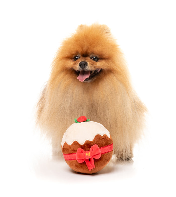 FuzzYard - Merry Puddin (Small)