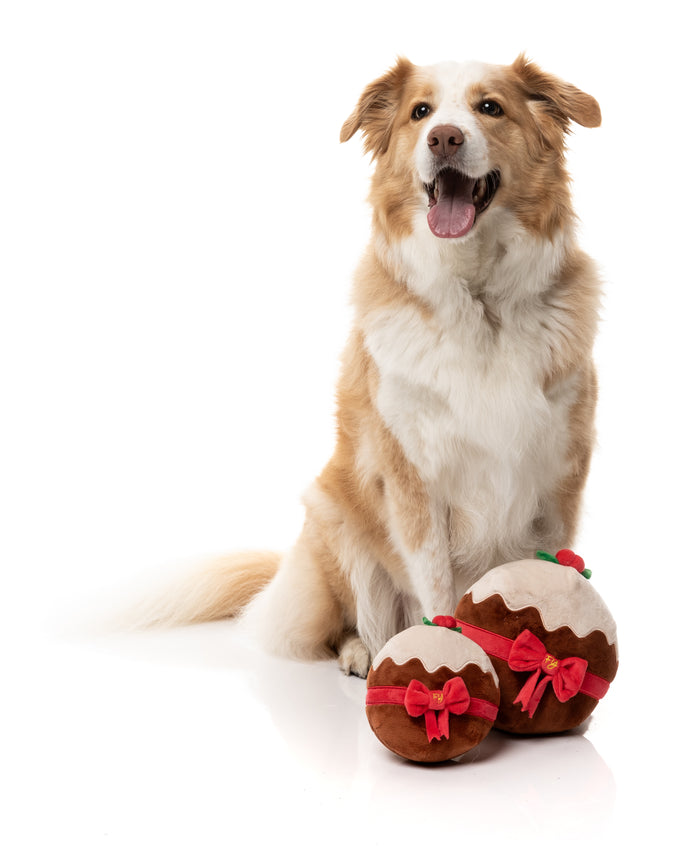 FuzzYard - Merry Puddin (Small)