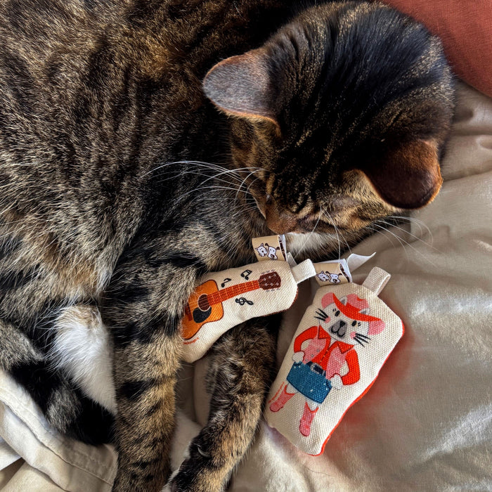 Go Kitty Go Cat Toy Set | Country Music Kitty