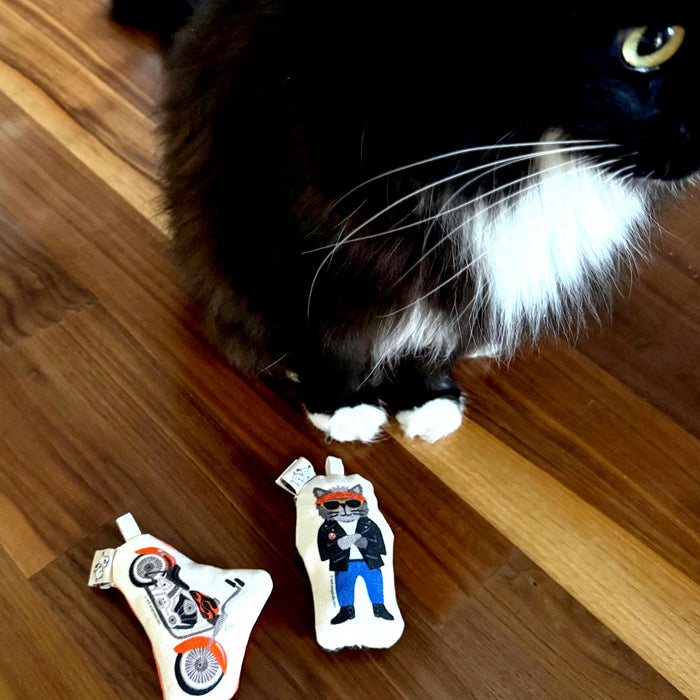 Go Kitty Go Cat Toy Set | Motorcycle Kitty