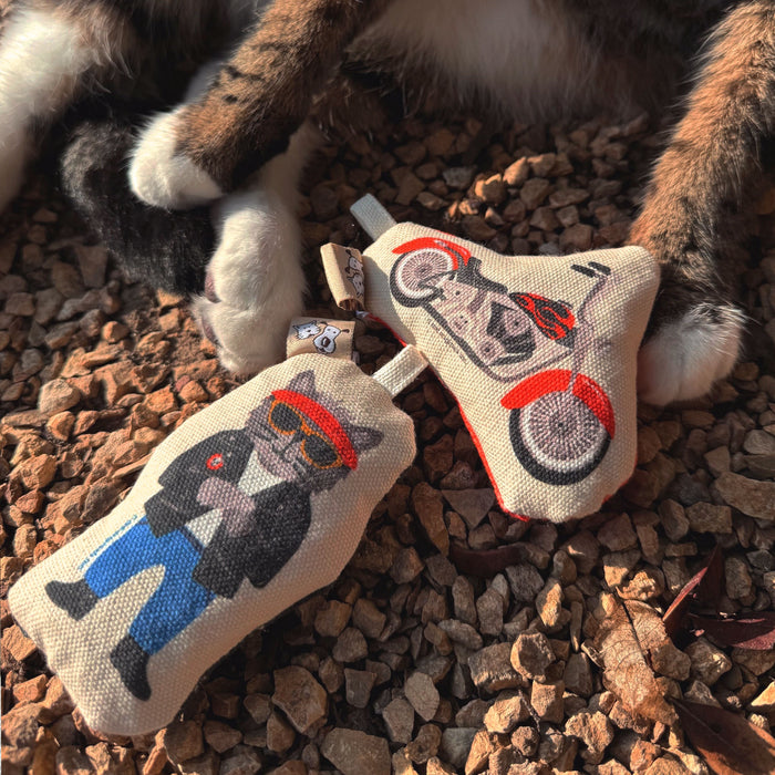 Go Kitty Go Cat Toy Set | Motorcycle Kitty