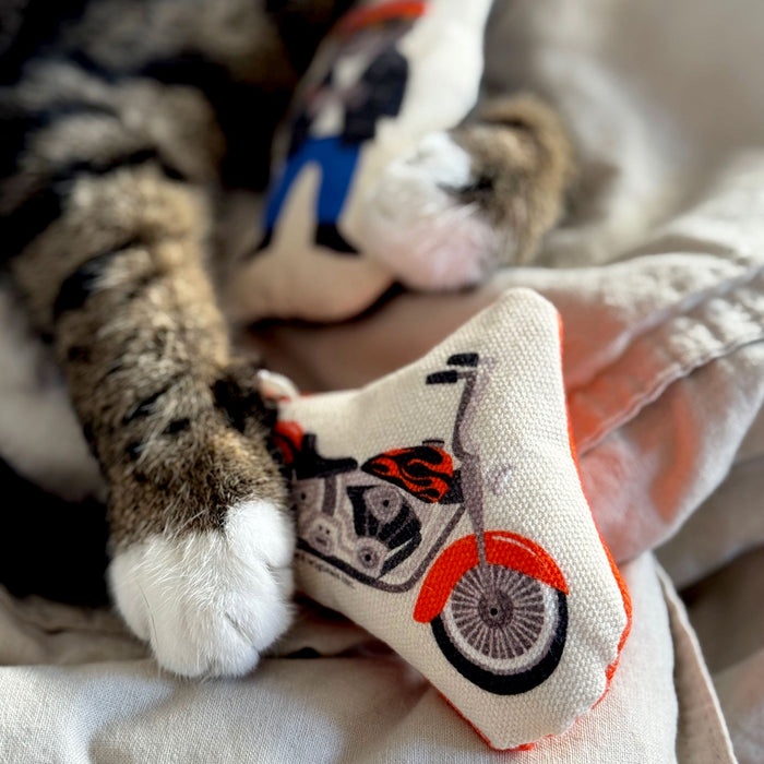 Go Kitty Go Cat Toy Set | Motorcycle Kitty