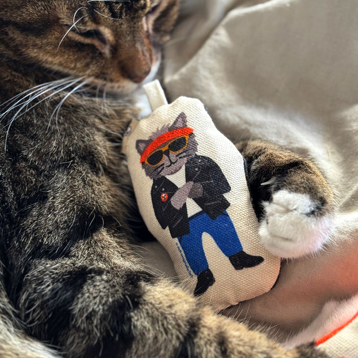 Go Kitty Go Cat Toy Set | Motorcycle Kitty