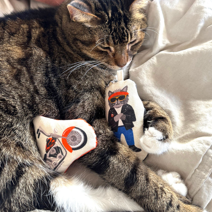 Go Kitty Go Cat Toy Set | Motorcycle Kitty