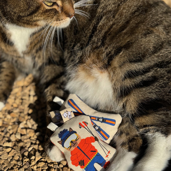 Go Kitty Go Cat Toy Set | Ski Kitty