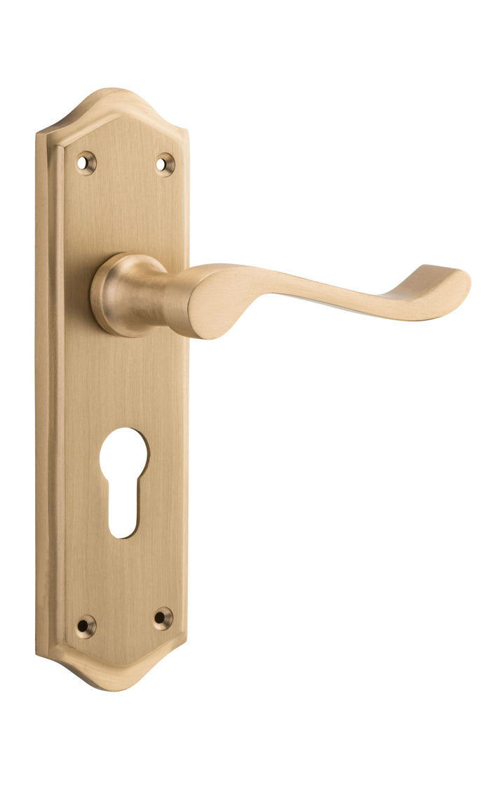 Satin Brass / Entrance Set Only