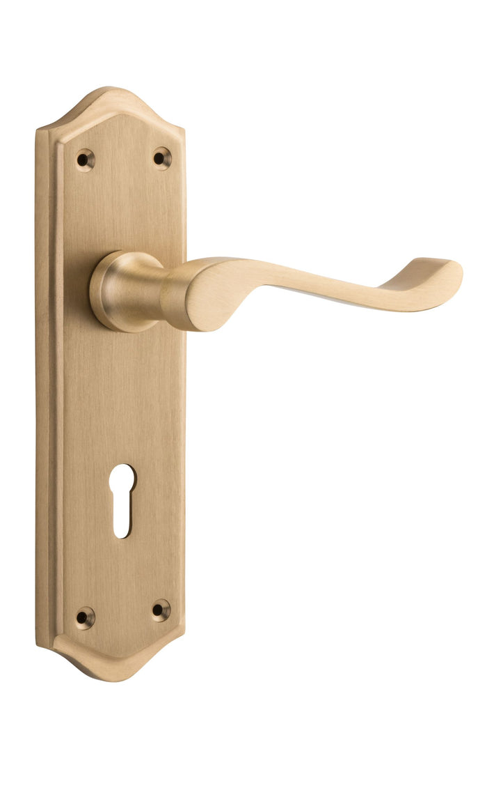 Satin Brass / Skeleton Punched