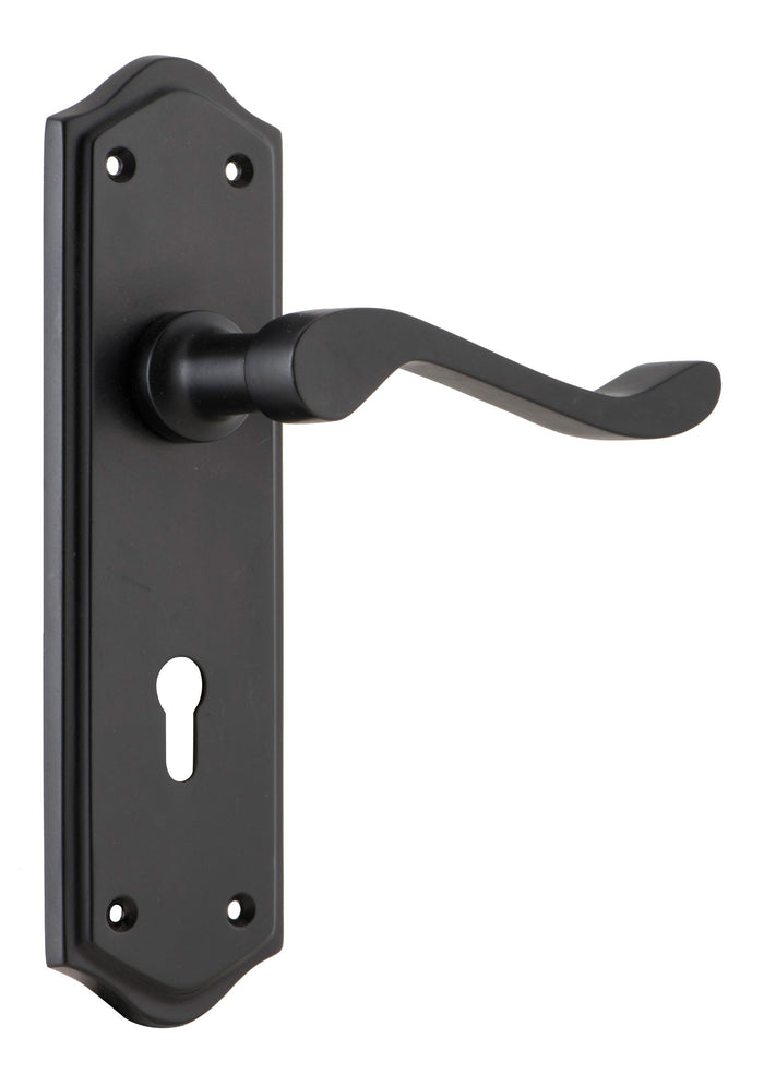 Matt Black / Skeleton Punched