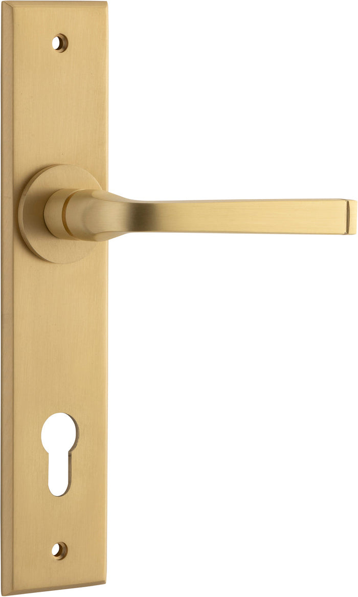 Brushed Brass / Entrance Pair (Handles Only)