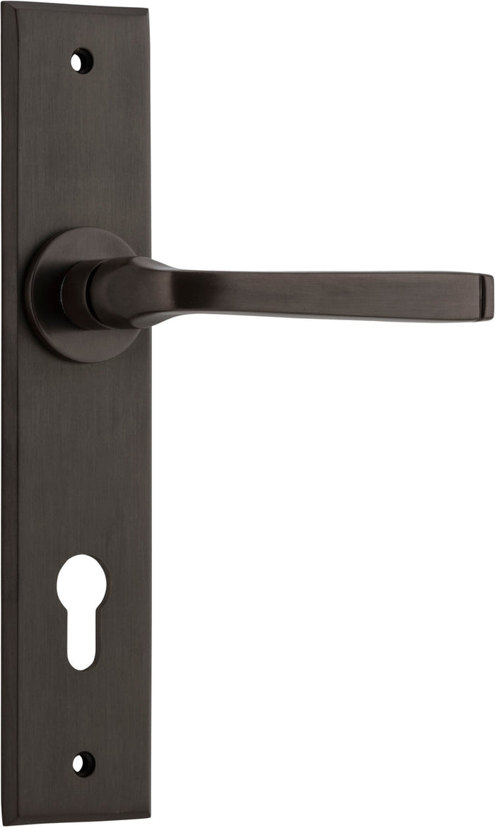 Signature Brass / Entrance Pair (Handles Only)
