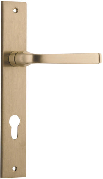 Brushed Brass / Entrance Pair (Handles Only)