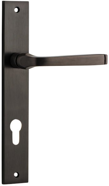 Signature Brass / Entrance Pair (Handles Only)