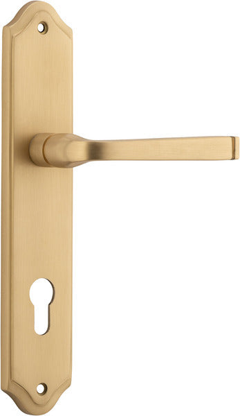 Brushed Brass / Entrance Pair (Handles Only)