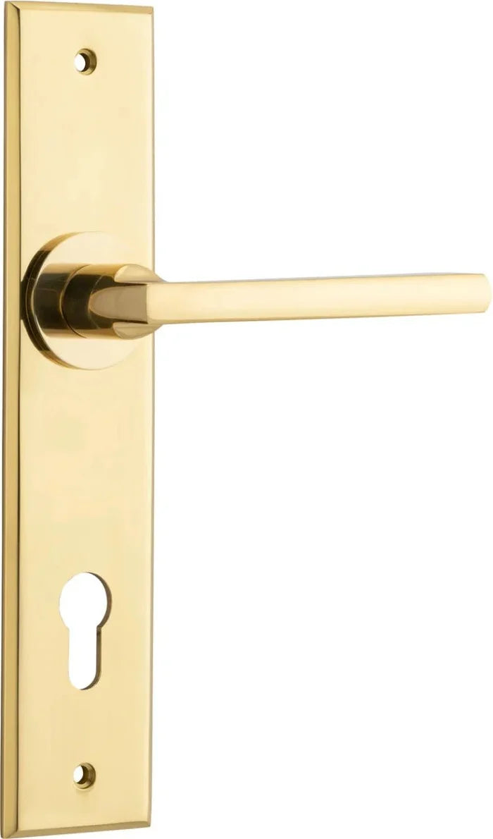 Polished Brass / Entrance Pair (Handles Only)
