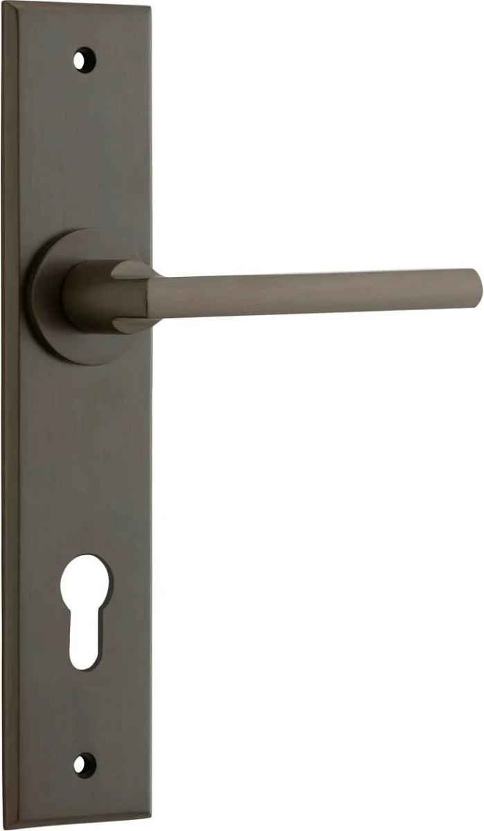 Signature Brass / Entrance Pair (Handles Only)