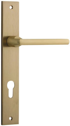 Brushed Brass / Entrance Pair (Handles Only)
