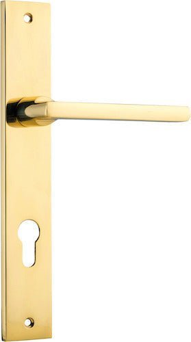 Polished Brass / Entrance Pair (Handles Only)
