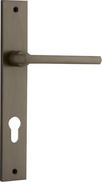 Signature Brass / Entrance Pair (Handles Only)