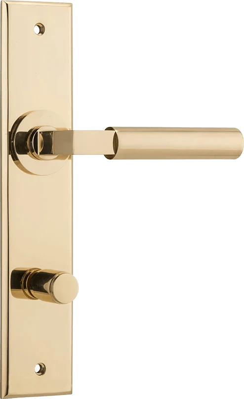 Polished Brass / Privacy Pair (Handles Only)