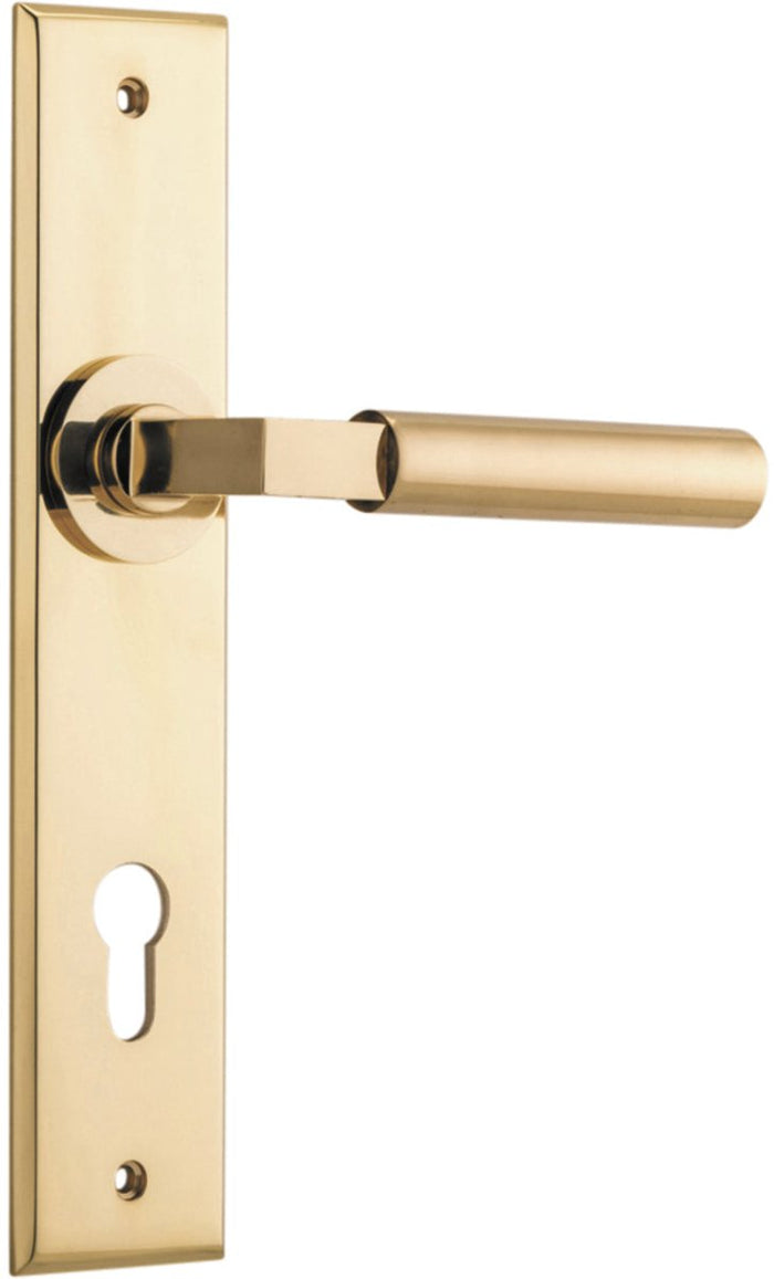 Polished Brass / Entrance Pair (Handles Only)