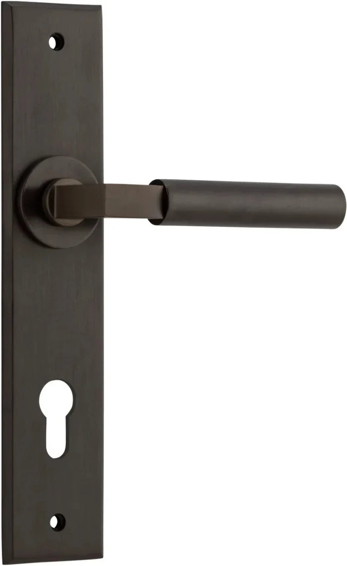 Signature Brass / Entrance Pair (Handles Only)