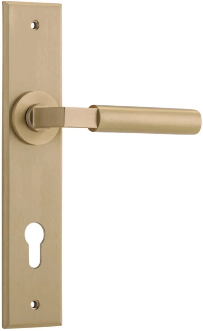 Brushed Brass / Entrance Pair (Handles Only)
