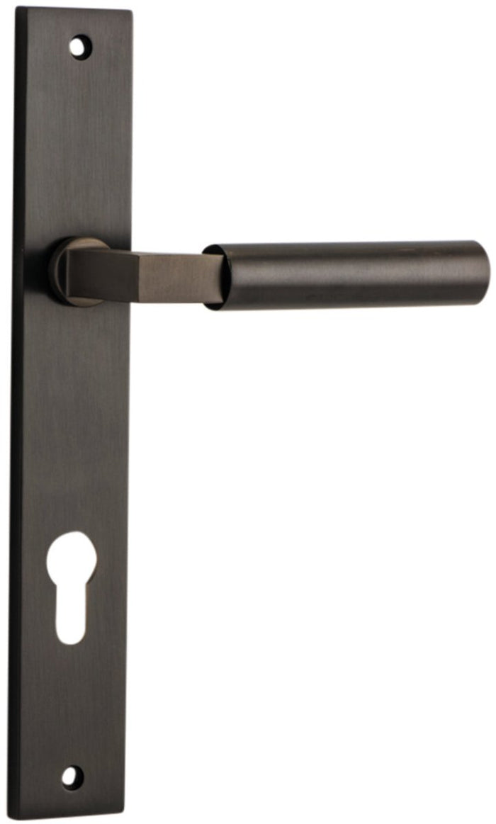 Signature Brass / Entrance Pair (Handles Only)