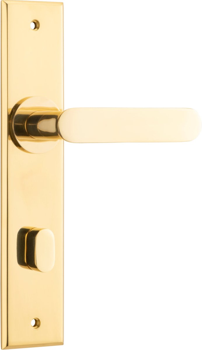 Polished Brass / Privacy Pair (Handles Only)