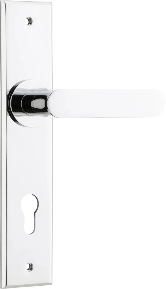 Polished Brass / Entrance Pair (Handles Only)