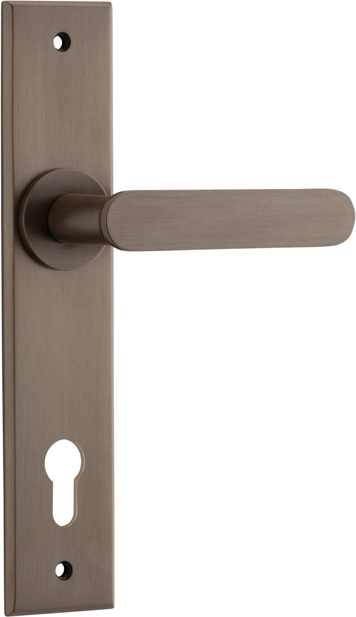 Signature Brass / Entrance Pair (Handles Only)