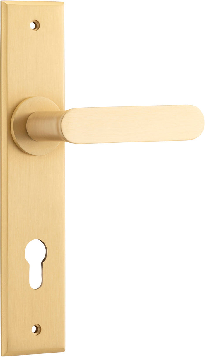 Brushed Brass / Entrance Pair (Handles Only)