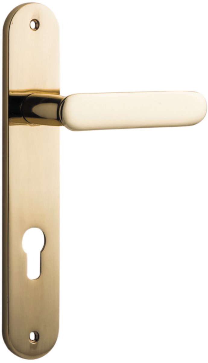 Polished Brass / Entrance Pair (Handles Only)