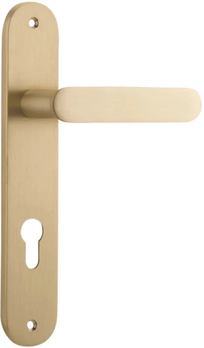 Brushed Brass / Entrance Pair (Handles Only)