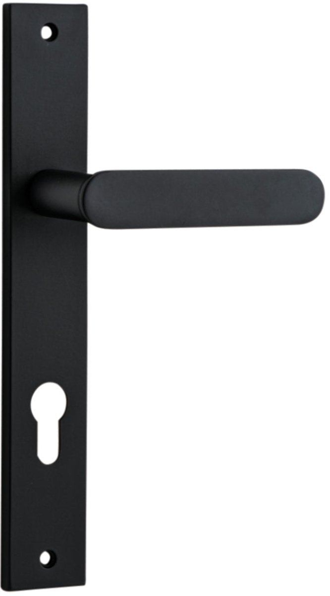 Matt Black / Entrance Leverset Only E85